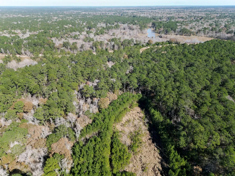 Dunnam Road Kingwood, TX 77345
