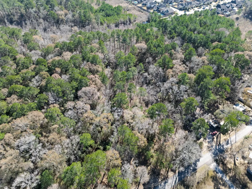 Dunnam Road Kingwood, TX 77345