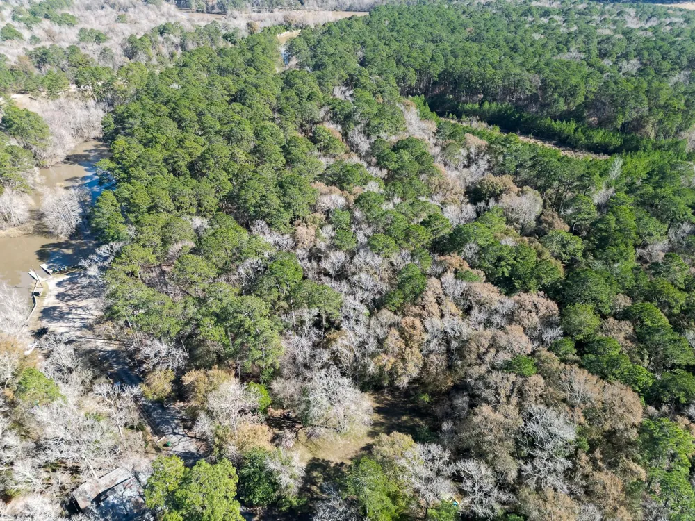 Dunnam Road Kingwood, TX 77345