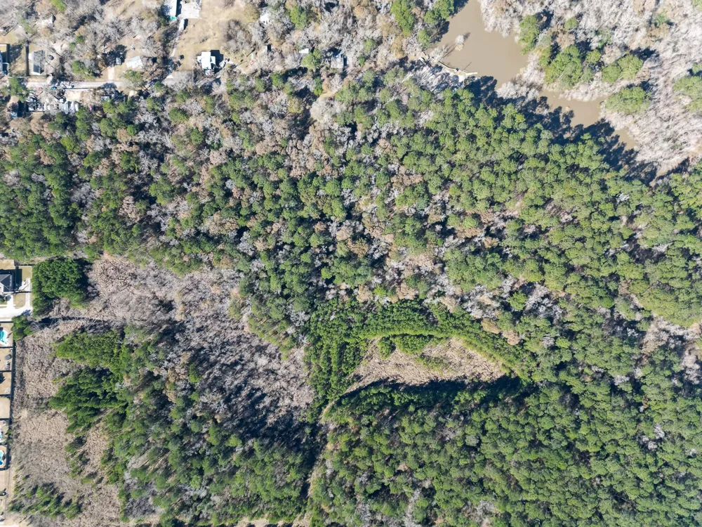 Dunnam Road Kingwood, TX 77345