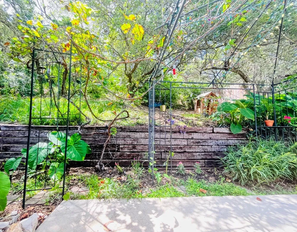 1427 Bonnyview Drive Canyon Lake, TX 78133