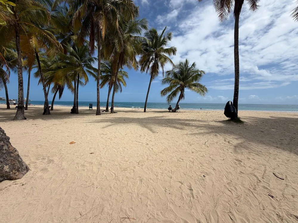 37 ISLA VERDE AVENUE #4C Carolina, PR 00979