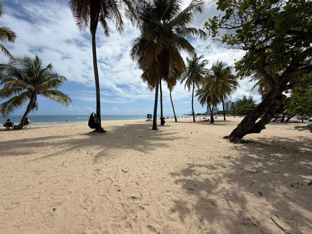 37 ISLA VERDE AVENUE #4C Carolina, PR 00979