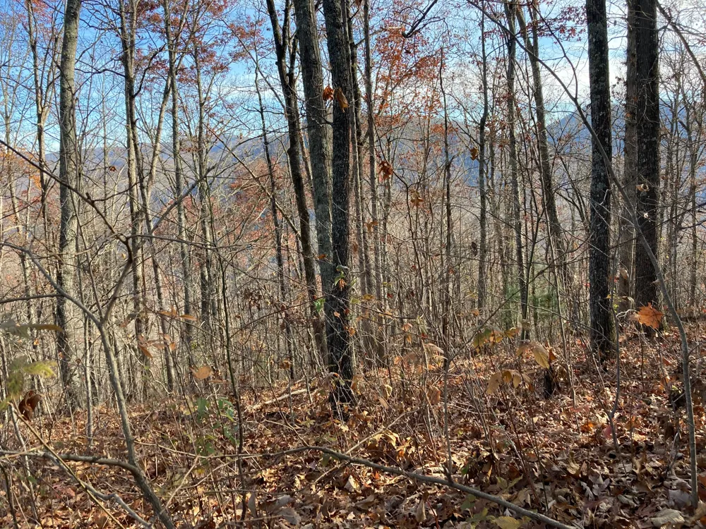 91 Waterdance Drive Cullowhee, NC 28723