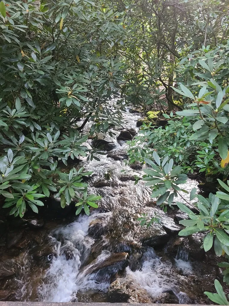 Red Wolf Run Franklin, NC 28734