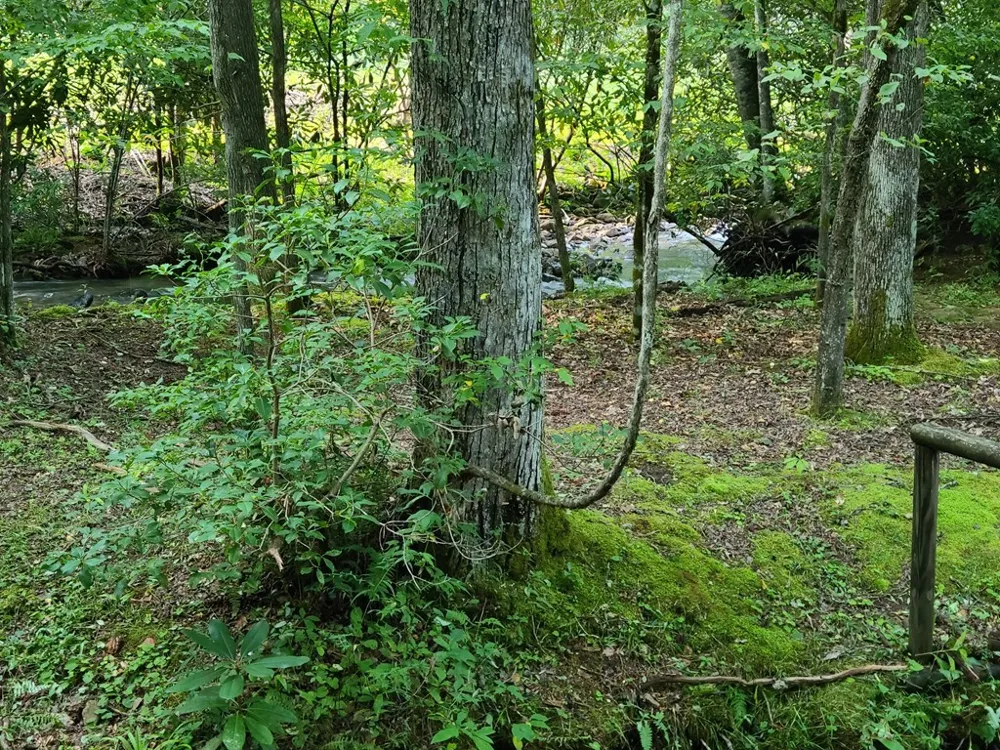 Red Wolf Run Franklin, NC 28734