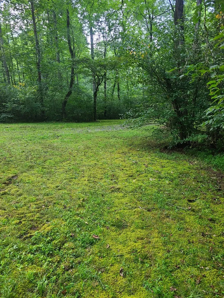 Red Wolf Run Franklin, NC 28734