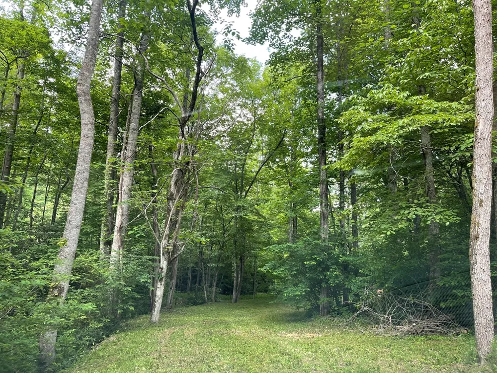 Red Wolf Run Franklin, NC 28734