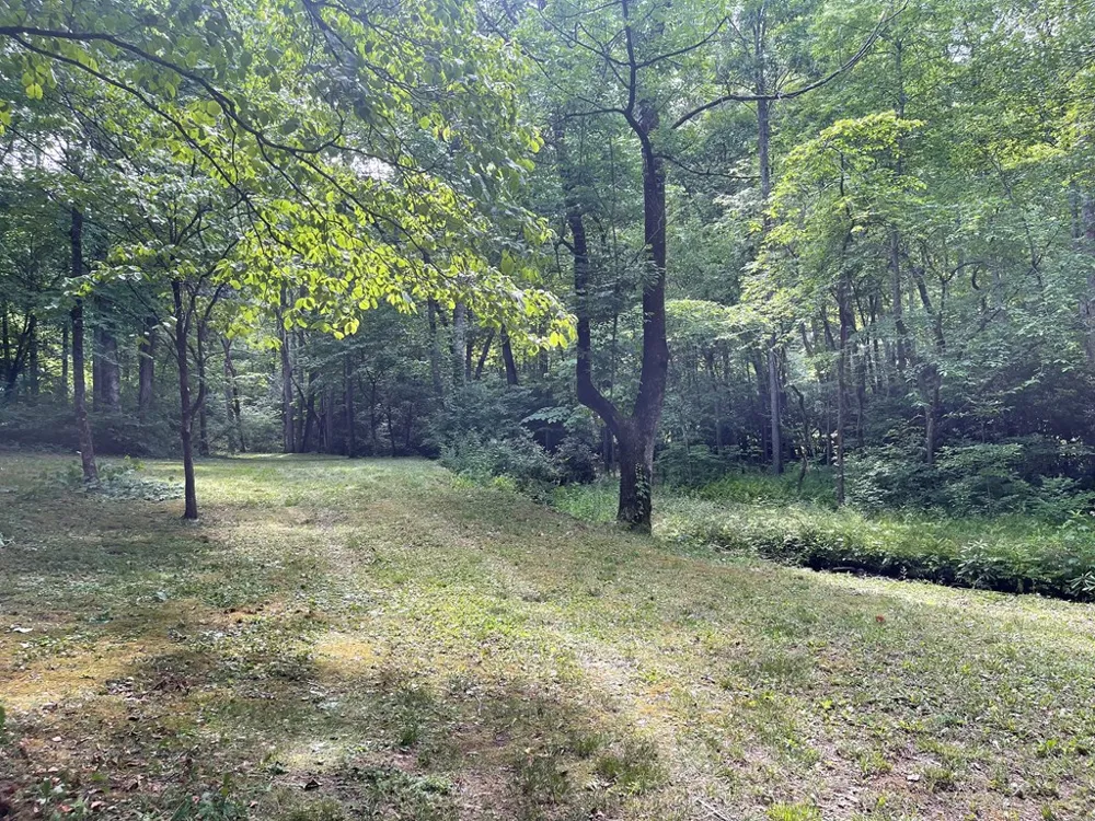 Red Wolf Run Franklin, NC 28734