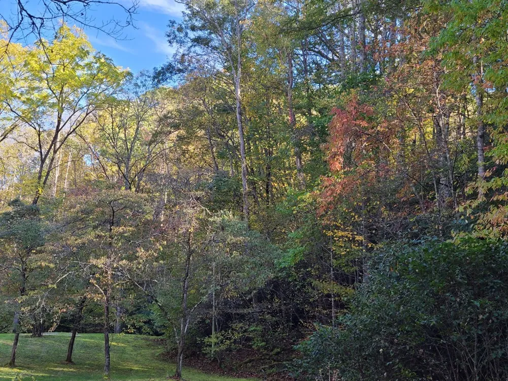 Red Wolf Run Franklin, NC 28734