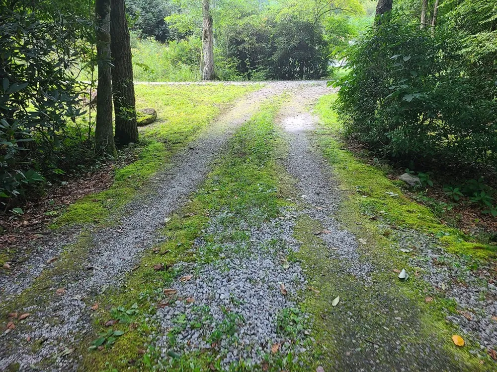 Red Wolf Run Franklin, NC 28734