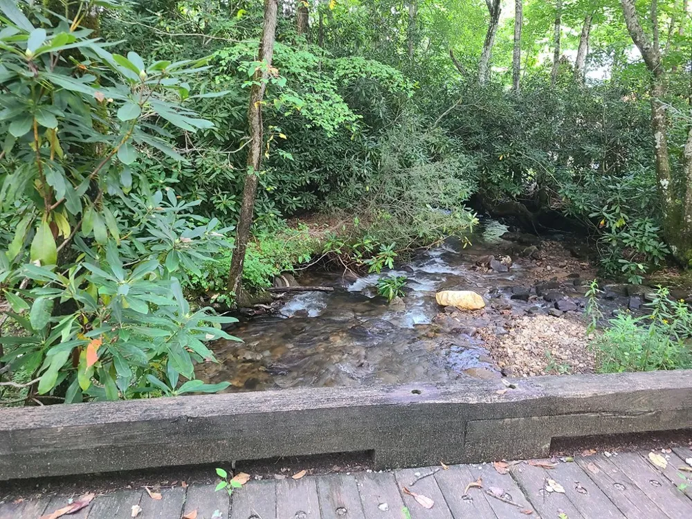 Red Wolf Run Franklin, NC 28734