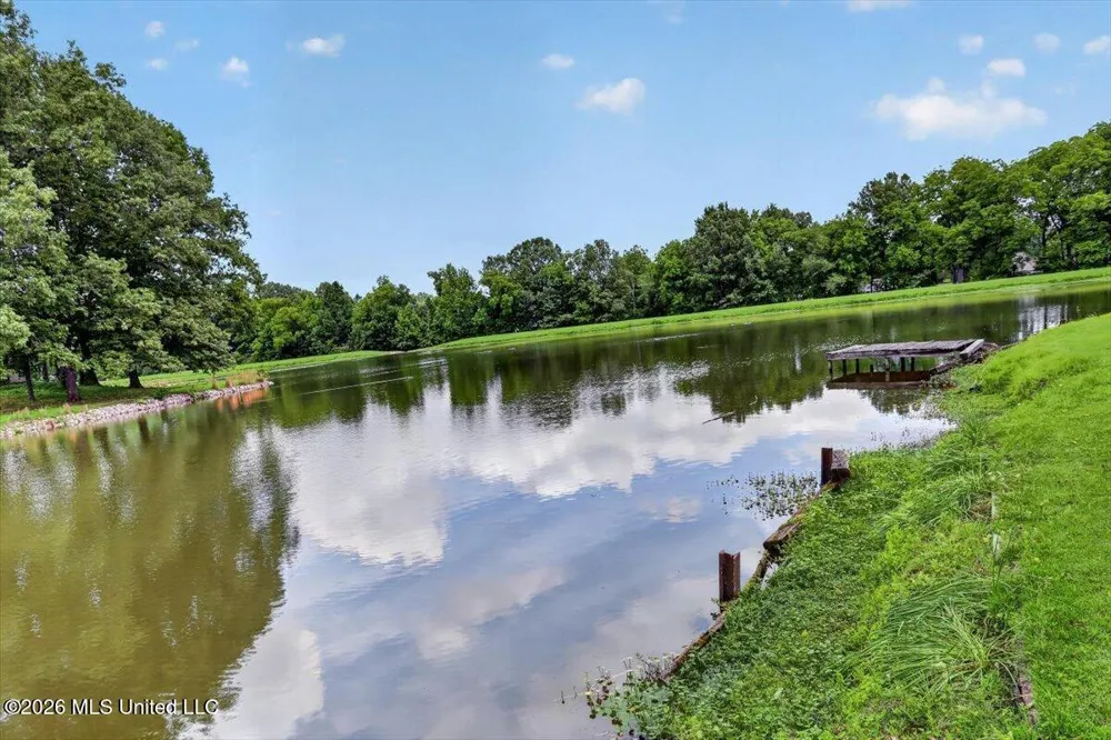 4655 Wealthy Cove Horn Lake, MS 38637