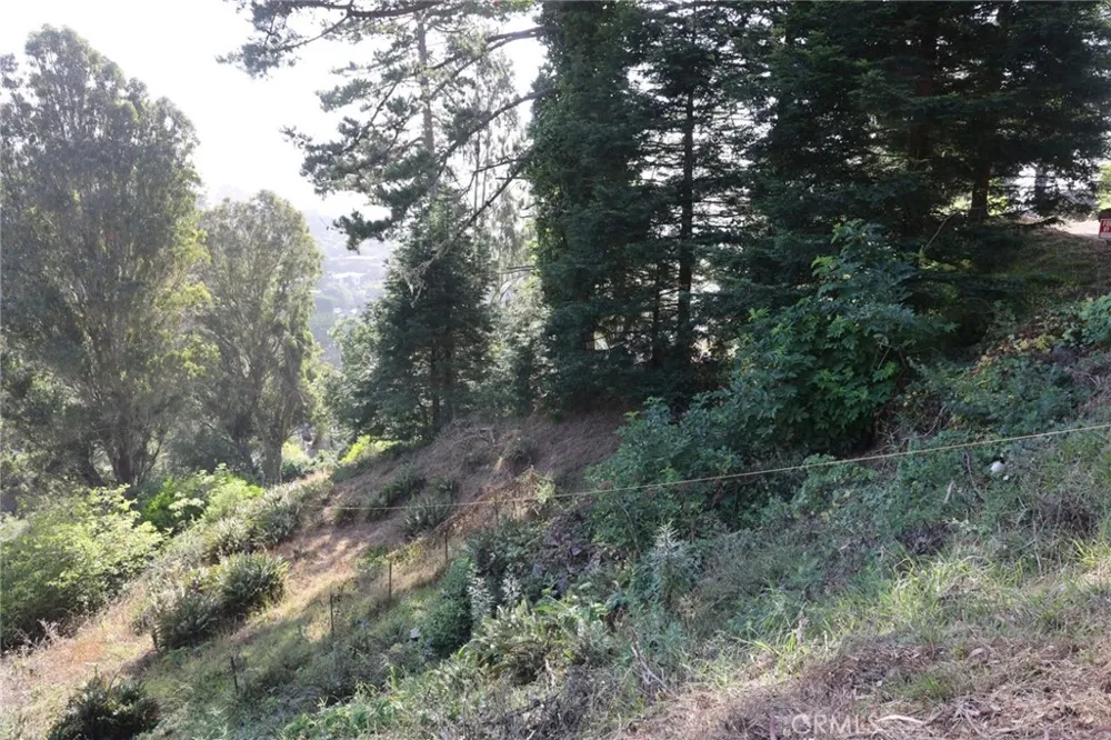 47 Charlottes Way Sausalito, CA 94965