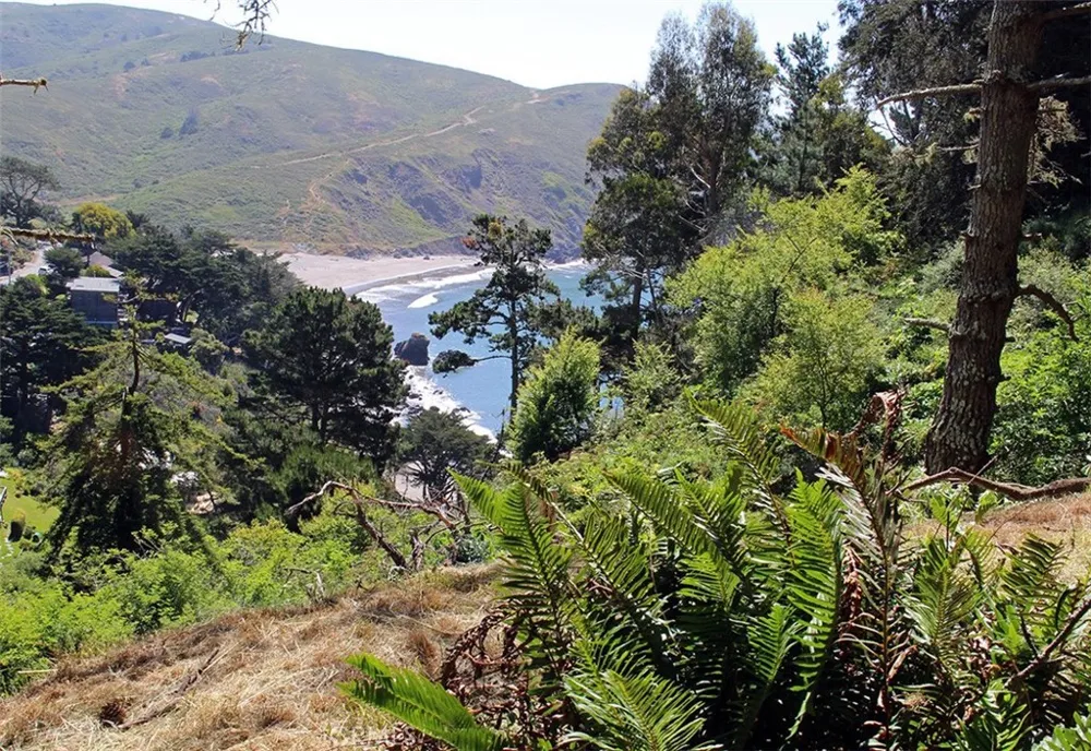 47 Charlottes Way Sausalito, CA 94965