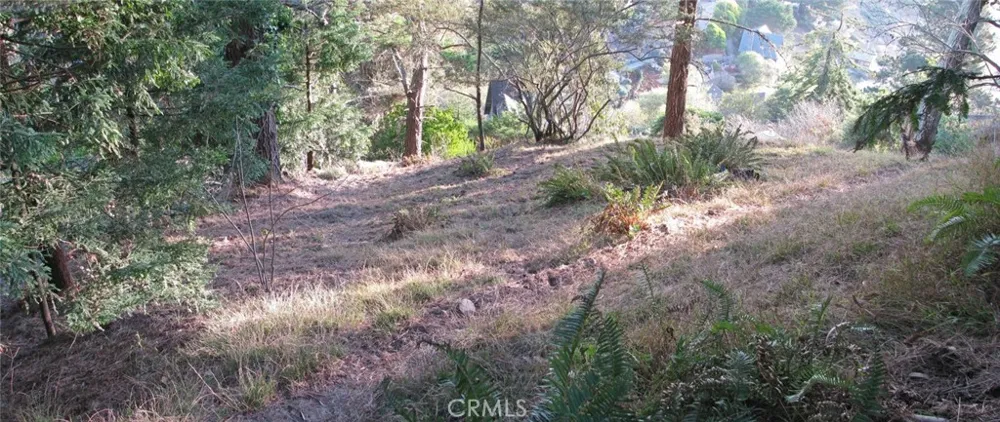 47 Charlottes Way Sausalito, CA 94965