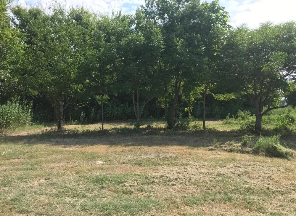 St Hwy 274 Tool, TX 75143