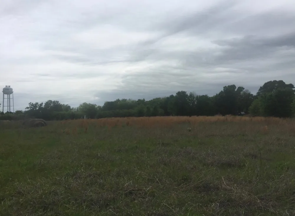 St Hwy 274 Tool, TX 75143
