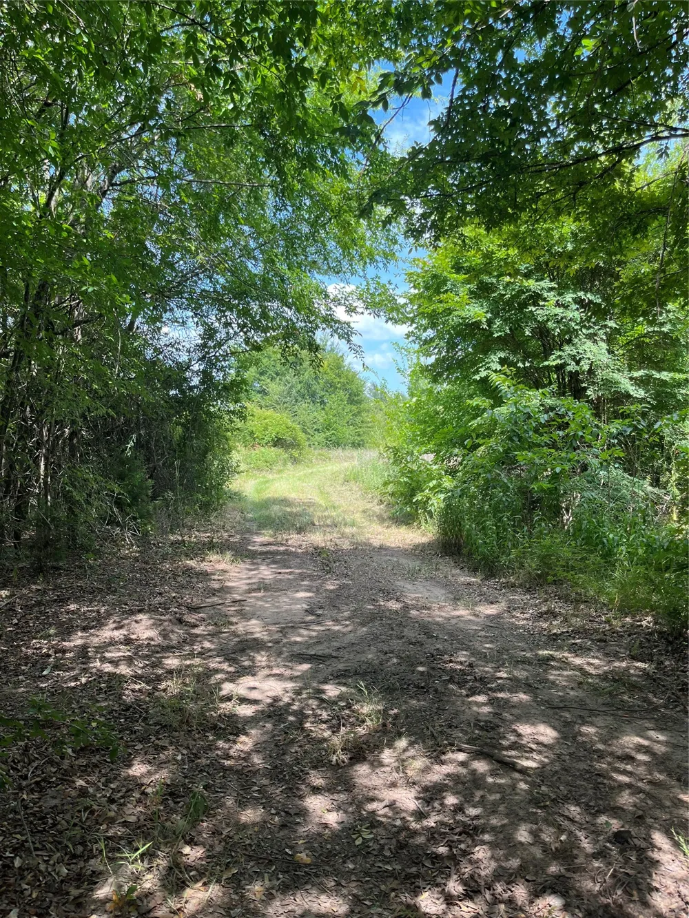 St Hwy 274 Tool, TX 75143