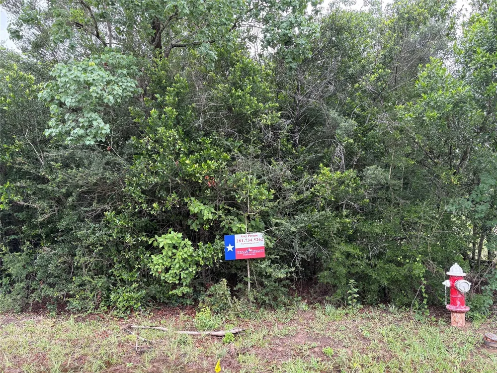 Moore Tomball, TX 77375