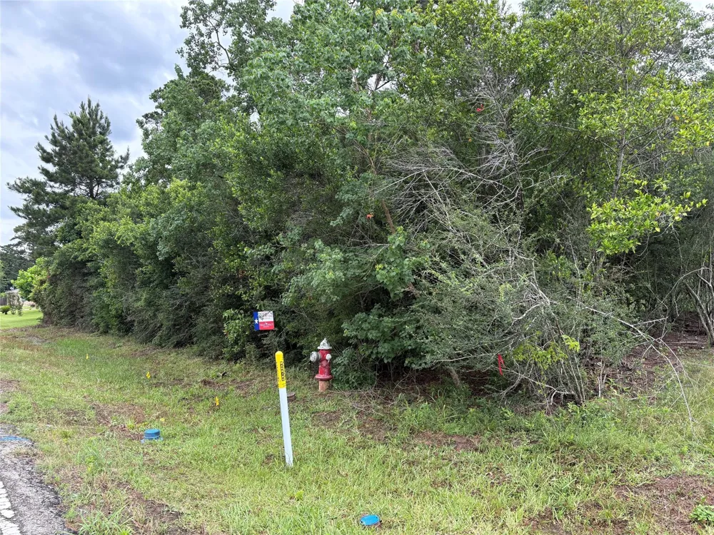 Moore Tomball, TX 77375