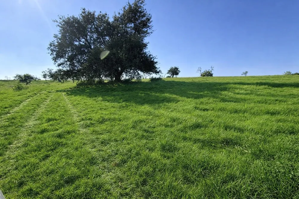 3 Badger Ridge Road Fredericksburg, TX 78624