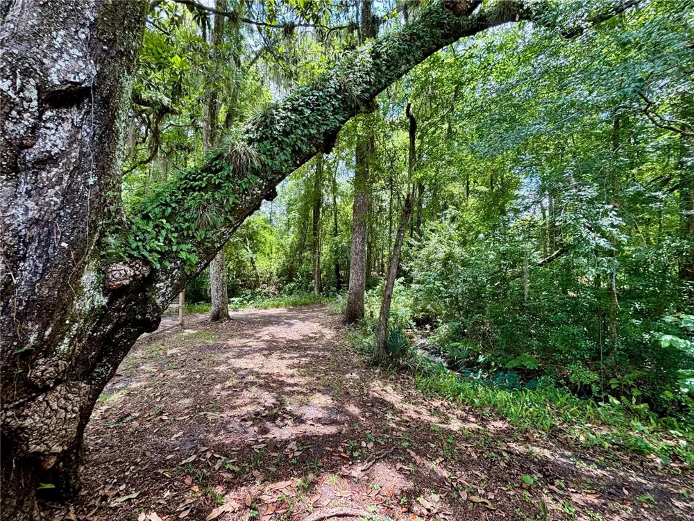 4415 NW 33RD COURT Gainesville, FL 32606