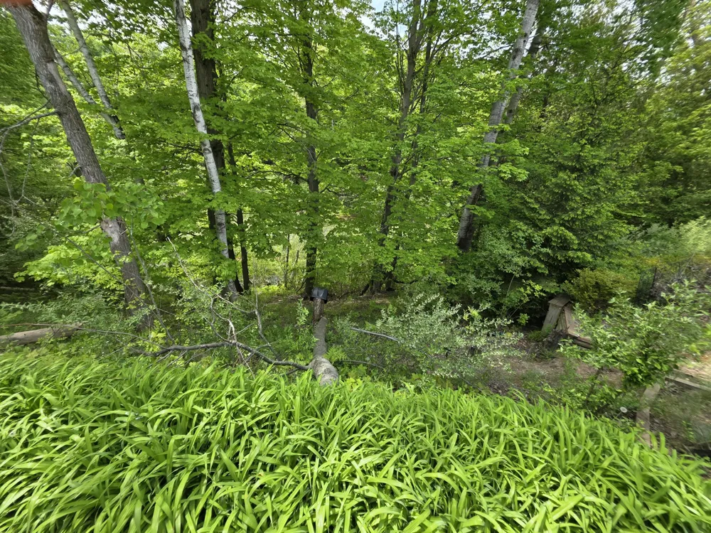 1125 Kristie Lane Amber Township, MI 49431