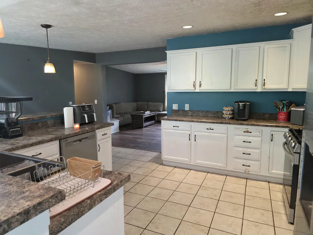 1125 Kristie Lane Amber Township, MI 49431