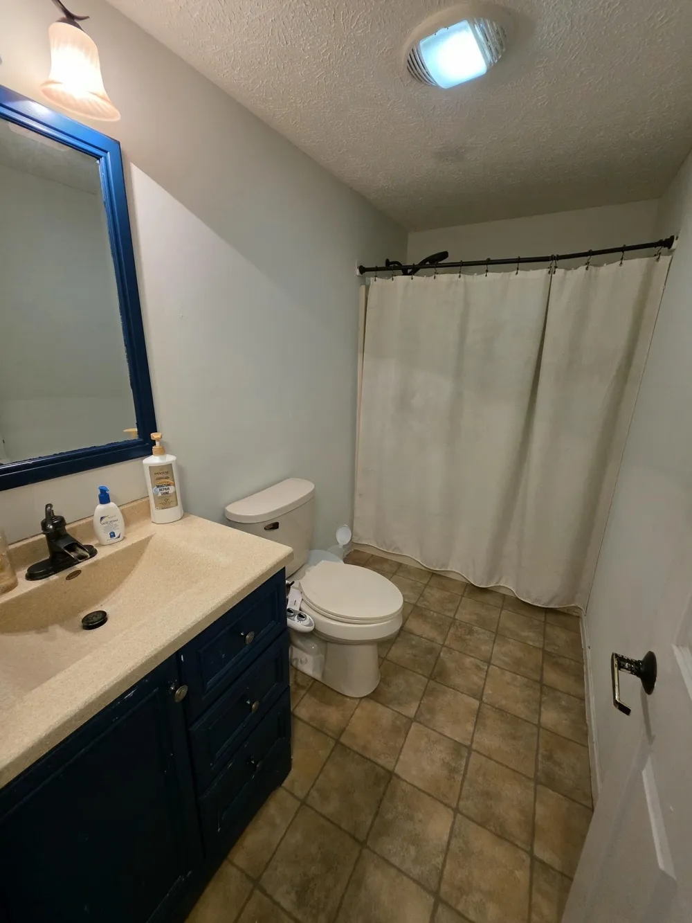 1125 Kristie Lane Amber Township, MI 49431