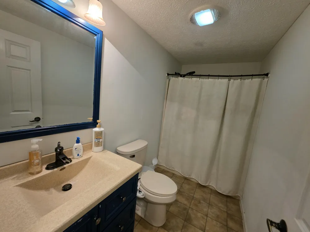 1125 Kristie Lane Amber Township, MI 49431