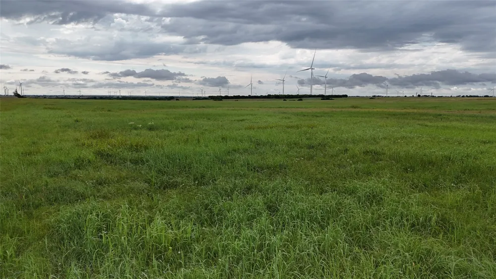 County Road 431 Muenster, TX 76252