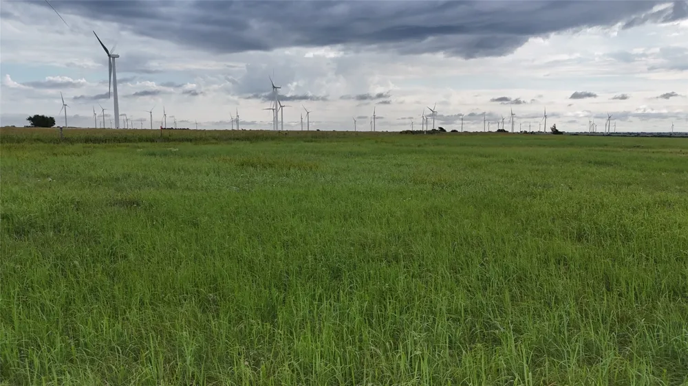 County Road 431 Muenster, TX 76252