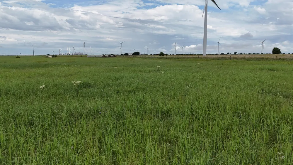 County Road 431 Muenster, TX 76252
