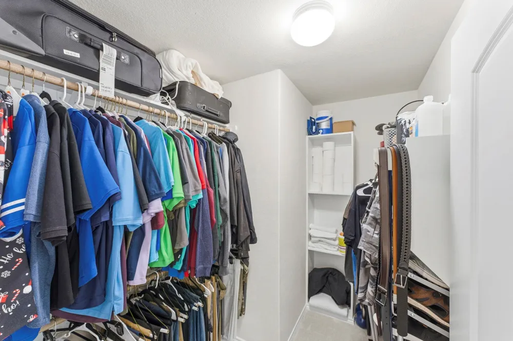 410 Thistle Thorn Drive The Woodlands, TX 77382