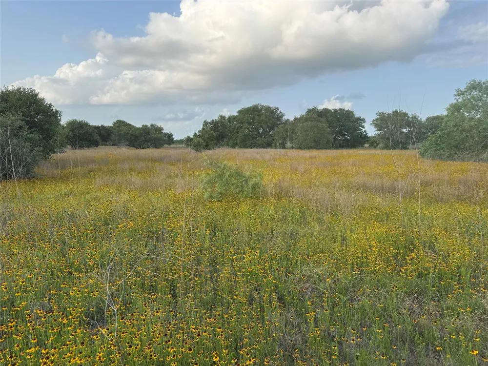 Hwy 90a Columbus, TX 78934