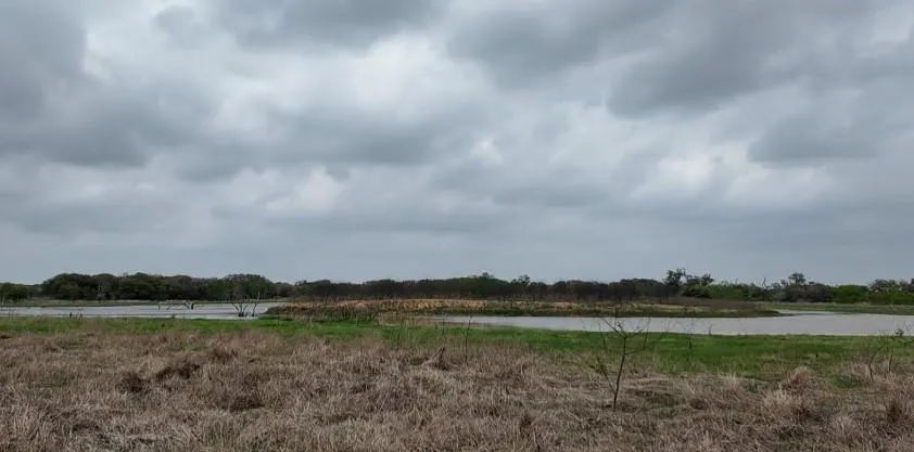 Hwy 90a Columbus, TX 78934