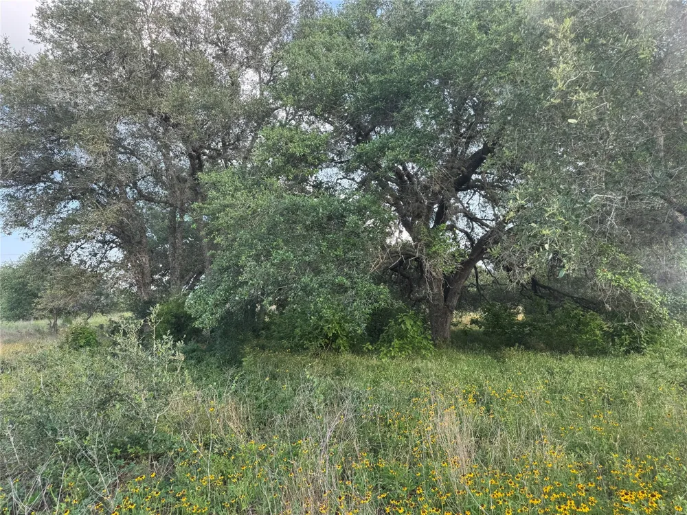Hwy 90a Columbus, TX 78934