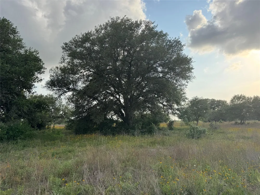 Hwy 90a Columbus, TX 78934