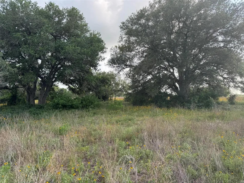 Hwy 90a Columbus, TX 78934