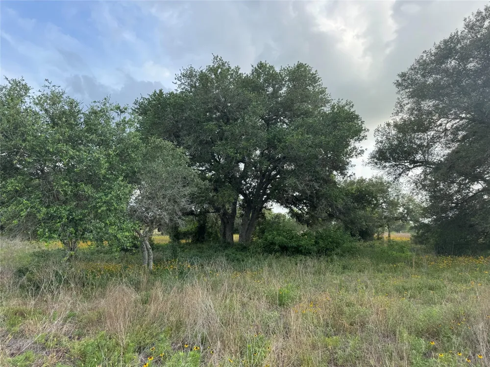 Hwy 90a Columbus, TX 78934