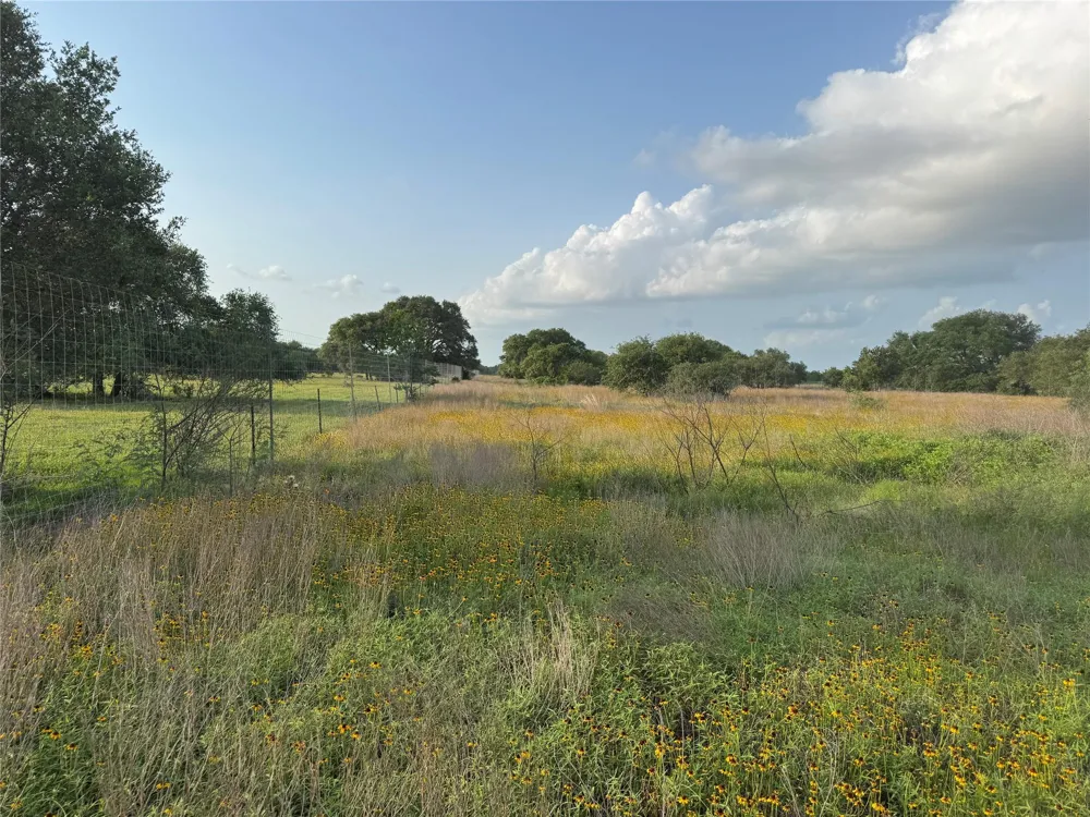 Hwy 90a Columbus, TX 78934