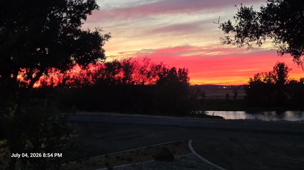 2650 Twitchell Island Rd Rio Vista, CA 94571
