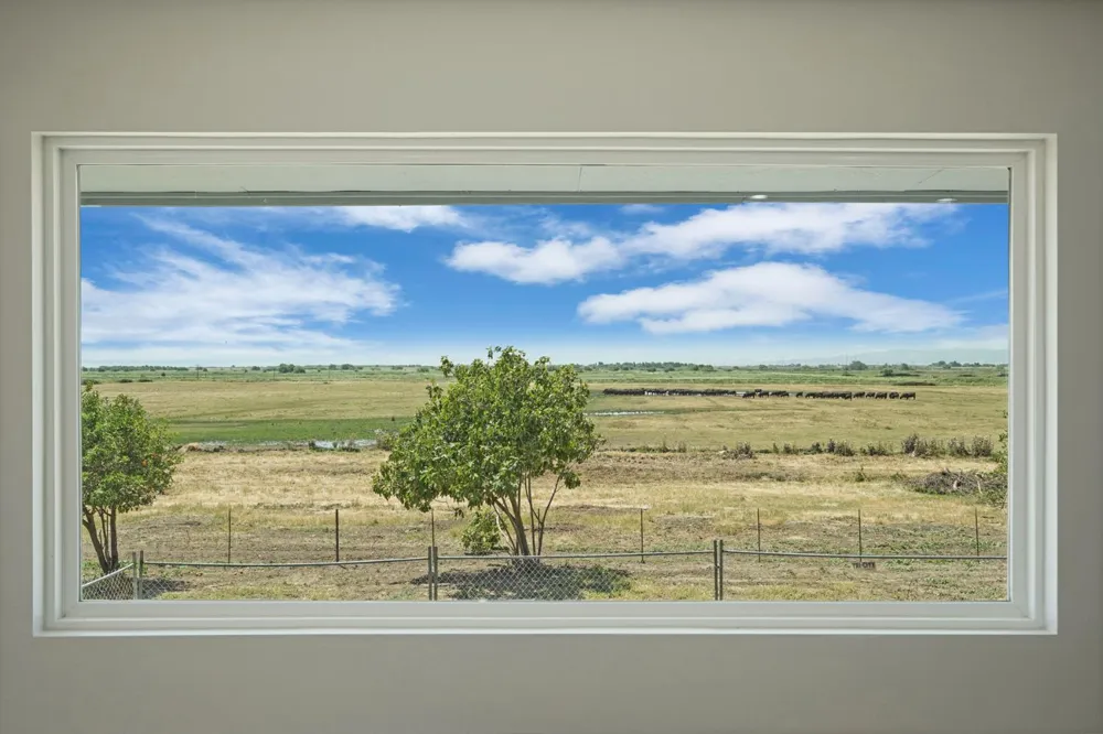 2650 Twitchell Island Rd Rio Vista, CA 94571