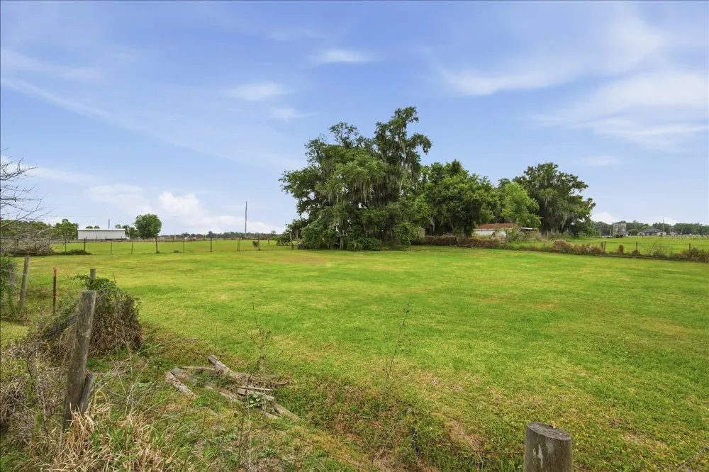 1113 COLSON ROAD Plant City, FL 33567