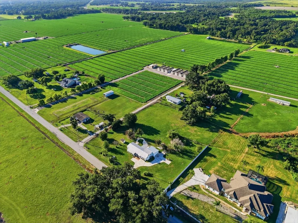 1113 COLSON ROAD Plant City, FL 33567