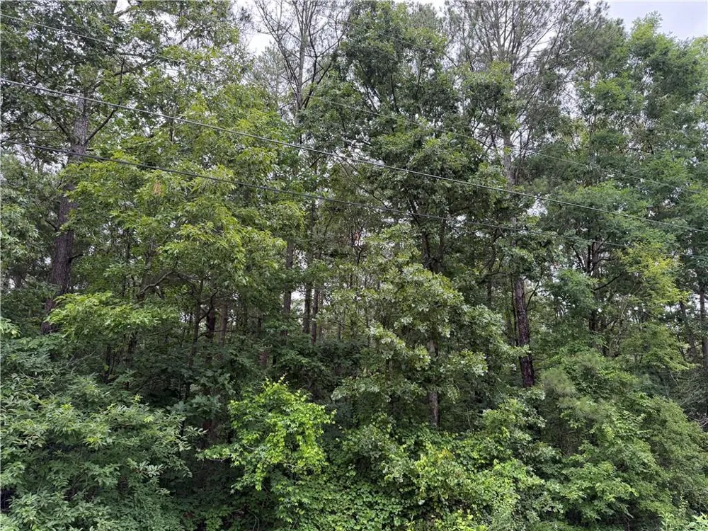 000 Cowan Drive Cartersville, GA 30120