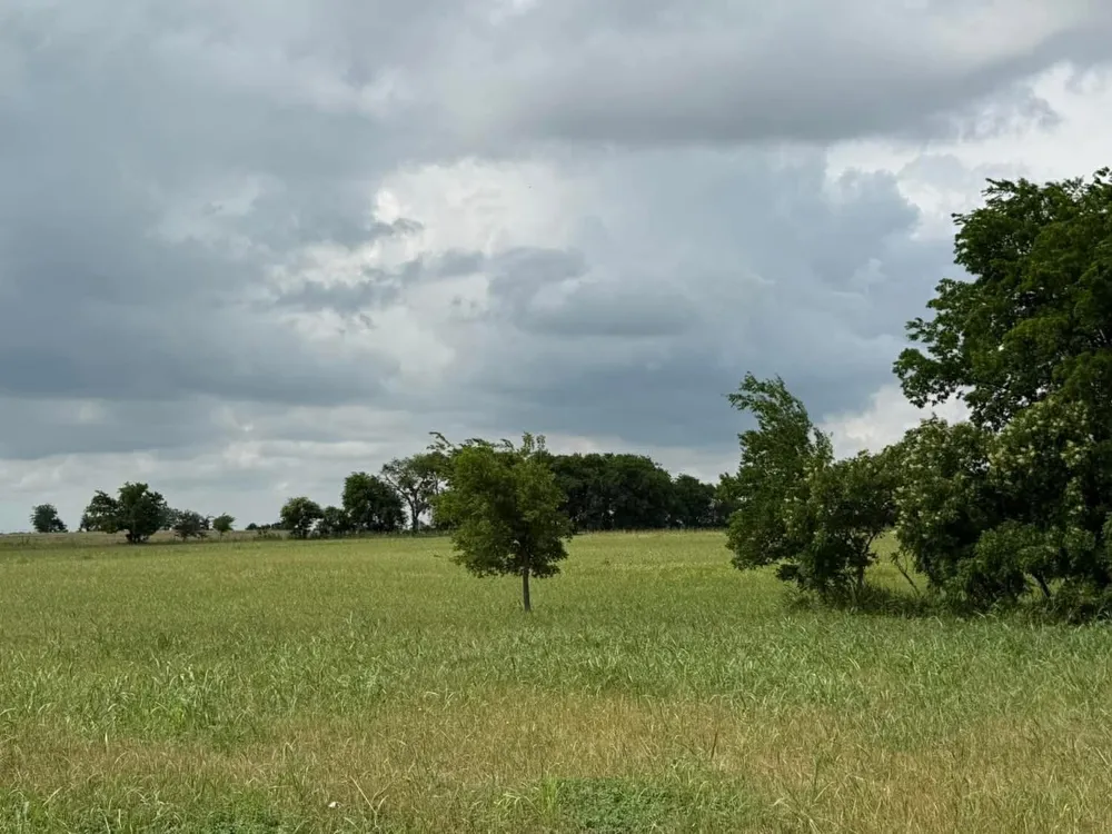 1162 County Road 134 Burlington, TX 76519
