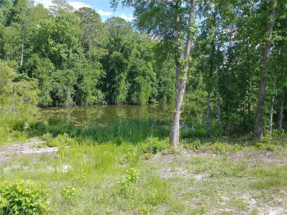 0000 EAGLE BOULEVARD Land O Lakes, FL 34639