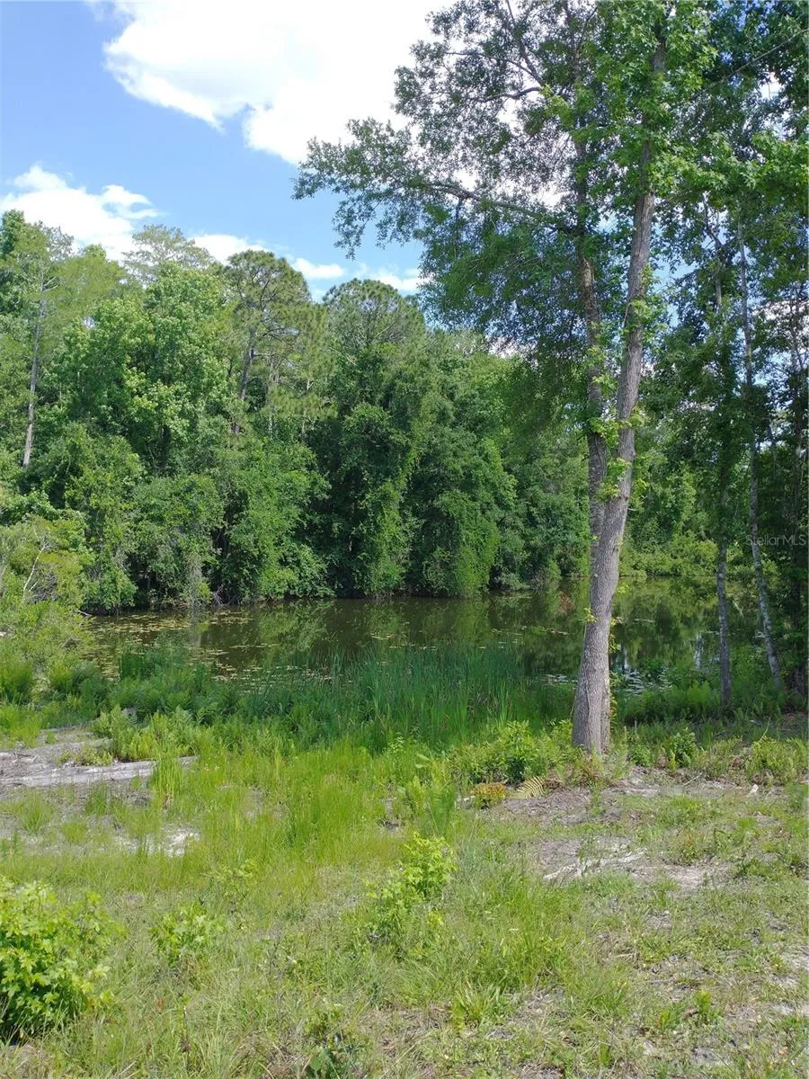 0000 EAGLE BOULEVARD Land O Lakes, FL 34639